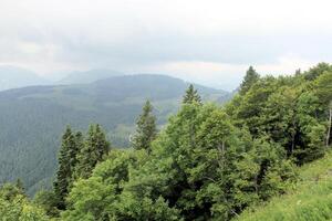 en se av de österrikiska landsbygden på st gilgen foto