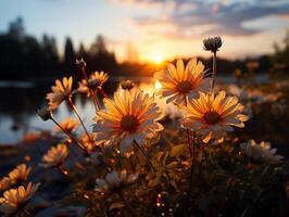 ai genererad skön daisy på solnedgång bakgrund generativ ai foto