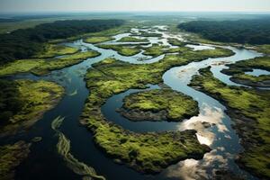 ai genererad flod delta från en fåglar öga se generativ ai foto