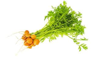 gäng färska runda morötter, ekologiska grönsaker, vegetarisk mat.