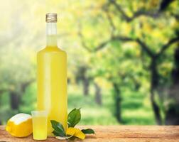 italiensk alkoholhaltig dryck, limoncello. foto