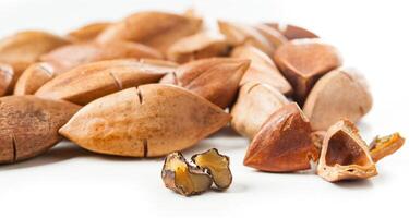 kanarium ovatum känd som pili nötter från de filippinerna foto