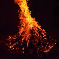 eldslågor på svart bakgrund, flamma eld flamma textur bakgrund, vackert, elden brinner, eld lågor med ved och kogödsel bål foto