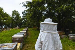 apiarist eller biodlare i de bigård. biodling eller biodling begrepp foto