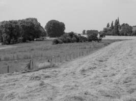 i de tysk muensterland foto