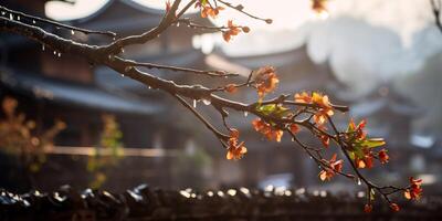 gammal asiatisk japansk kinesisk gammal årgång retro stad stad byggnad tempel med natur träd blommor foto