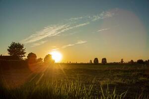 solnedgång i de landsbygden i de fält foto
