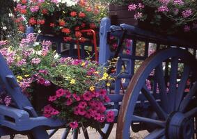 en blå vagn med blommor på den foto