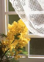en vas av gul blommor Sammanträde på en fönster tröskel foto