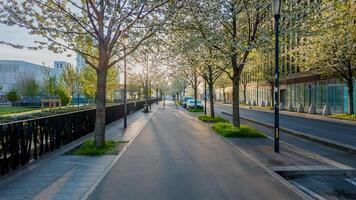 lugn vår morgon- på en träd fodrad urban gata med blomning blommor, symboliserar förnyelse och jord dag, perfekt för säsong- begrepp och stad planera teman foto