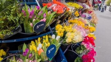 färgrik tulpaner på visa på en blomma marknadsföra, prissatt på 599, idealisk för vår högtider tycka om påsk och mödrar dag foto