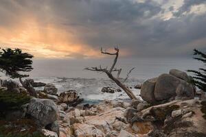 dramatisk kust scen längs 17 mile kör, kalifornien foto