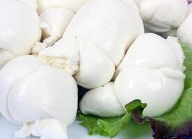 fläta av italiensk mozzarella foto