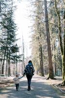 mamma och en liten flicka promenad innehav händer längs de väg i en barr- skog. tillbaka se foto