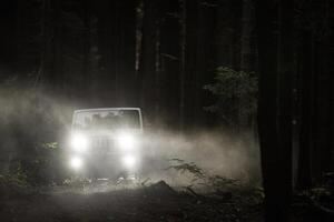 dimmig skog sport verktyg fordon kör foto