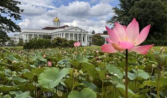 bogor, väst java, Indonesien, 21 april 2024, bogor president- palats, också känd som de istana bogor foto