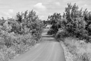 skön tömma asfalt väg i landsbygden på ljus bakgrund foto