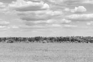 skön horisont landskap i by äng på Färg naturlig bakgrund foto