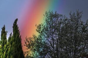 regnbåge på en vår dag tack till de regn och de Sol foto