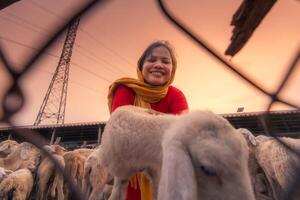 vietnamese kvinna med lamm på en landsbygden, en får bruka i de stäpp zon i ninh thuan provins, vietnam. foto