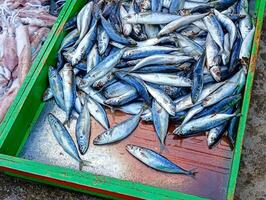 försäljning av pindang fisk, bläckfisk och räka foto