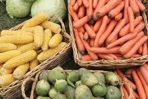 färsk organisk grönsaker på jordbrukare marknadsföra. lokal- bruka basar. sortiment av färsk organisk skörda trädgård producera. bio Produkter, bio ekologi. naturlig friska mat festival. jordbruks rustik rättvis foto