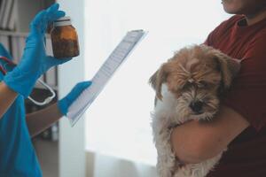 närbild skott av veterinär händer kontroll hund förbi stetoskop i veterinär klinik foto