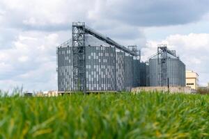 spannmålsmagasin hiss, silver- silos på agro tillverkning växt för bearbetning torkning rengöring och lagring av jordbruks Produkter, mjöl, spannmål och spannmål. en fält av grön vete. foto