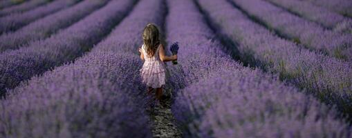 lavendel- fält flicka baner. tillbaka se Lycklig flicka i rosa klänning med strömmande hår kör genom en lila fält av lavendel. aromaterapi resa foto