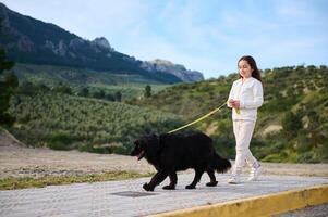 förtjusande caucasian barn flicka gående henne stamtavla hund, en svart renrasig cockerspaniel spaniel i de bergen natur utomhus. människor. natur och spelar husdjur begrepp foto