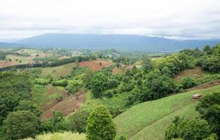 antenn se landskap av plantage område och grön träd på komplicerad kulle i nan provins, nordlig av thailand. foto