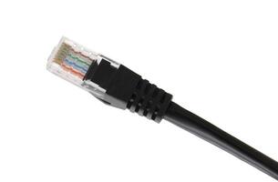svart nätverk kabel- med gjuten rj45 plugg isolerat på vit bakgrund. foto