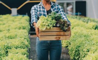 två asiatisk jordbrukare inspekterande de kvalitet av organisk grönsaker vuxen använder sig av hydroponics. foto