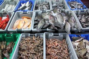 skaldjur är såld på en basar i israel. foto