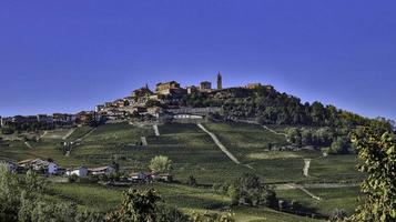 landskap av den piemontesiska langhe med sina vinrankor på hösten, under druvskörden foto