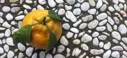foto av söt apelsin utan kärnor från Japan