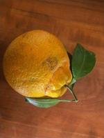 foto av söt apelsin utan kärnor från Japan