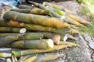 hög med bambuskott från naturskog till salu på marknaden - bambuskott asiatiska thailand foto