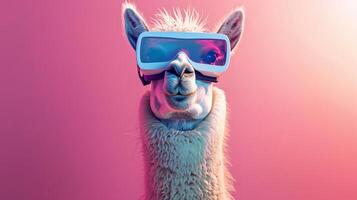lama med 3d vr glasögon på de isolerat bakgrund foto
