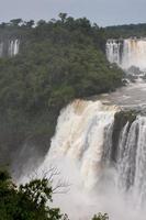 iguazu faller på gränsen mellan Brasilien och Argentina foto