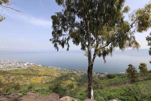 sjö kinneret. de sjöns kustlinje är de lägst land massa på jord foto