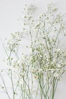 delikat mjuk vit blommor närbild, ai foto