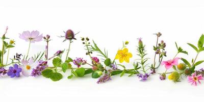 vild dekoration blommig flatlay på vit bakgrund foto