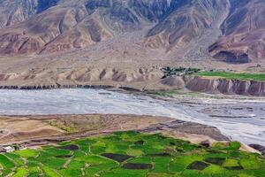 se av spiti dal med grön fält. himachal Pradesh, Indien foto