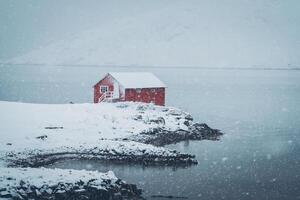 röd rorbu hus i vinter, lofoten öar, Norge foto