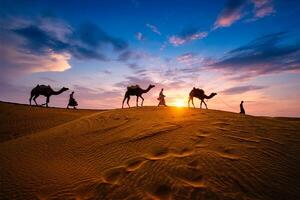 indisk kamelerar kamel förare med kamel silhuetter i sanddyner på solnedgång. jaisalmer, rajasthan, Indien foto