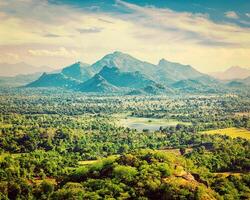 sri lankanska landskap foto