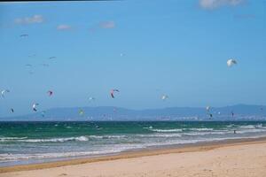 lekar kite kiteboarder kitesurfer drakar på de hav strand foto
