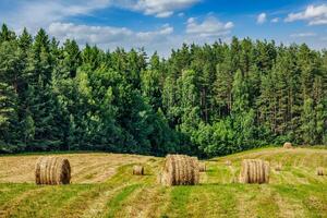 sommar landskap med hö balar på fält foto