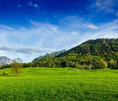 alpina äng i Bayern, Tyskland foto